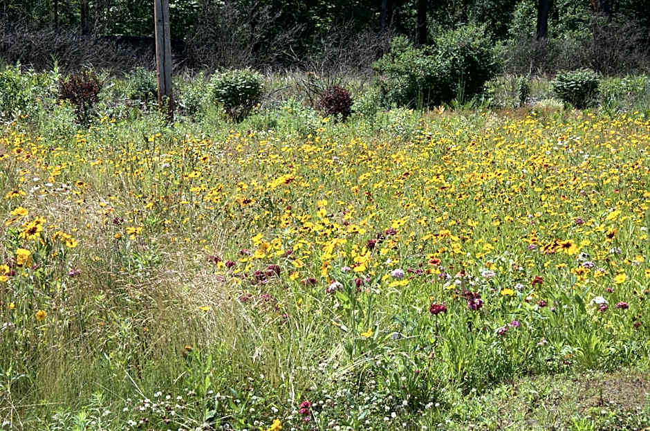 Sara Glen Motel - Saratoga Springs-Glens Falls
