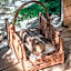 Wooden Tatra House