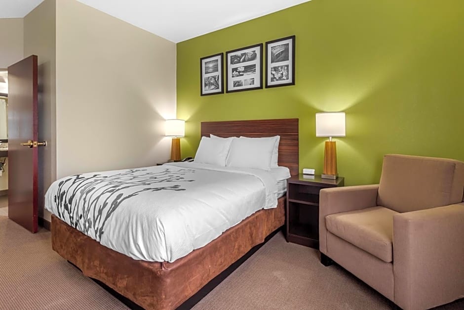 Sleep Inn & Suites Allendale