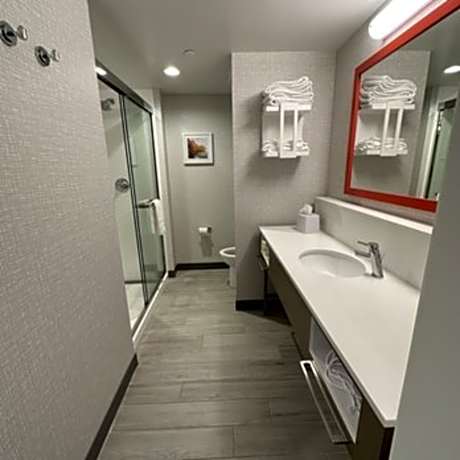 1 King Hearing Access Studio W/Sofabed