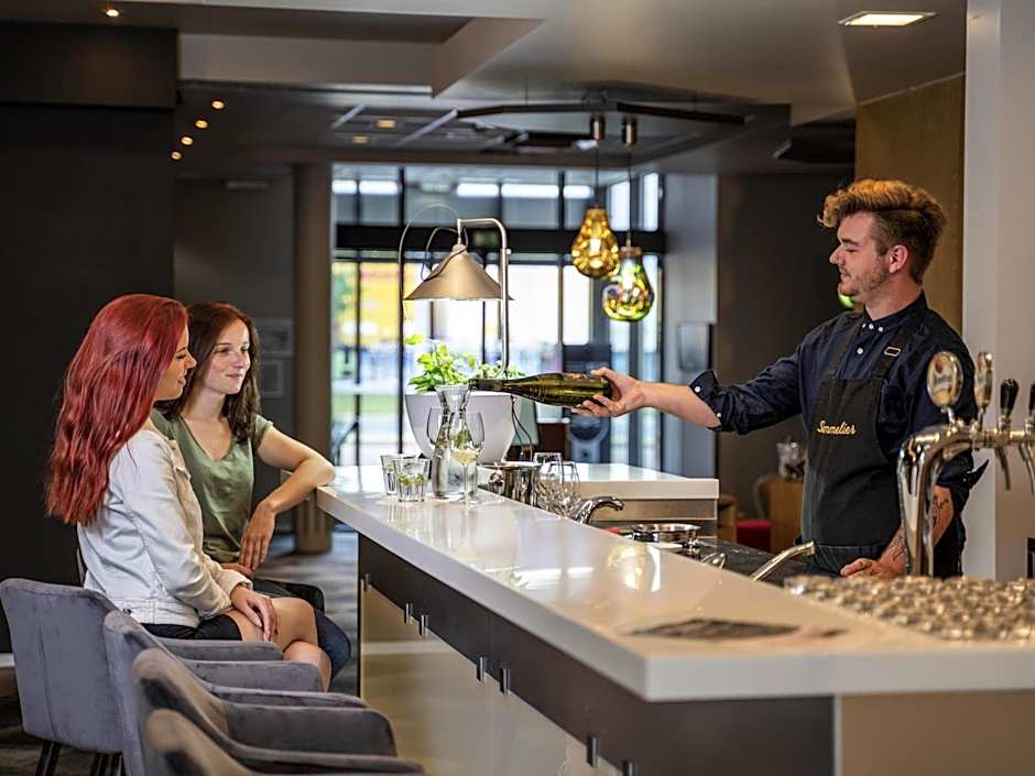 Ibis Plzen