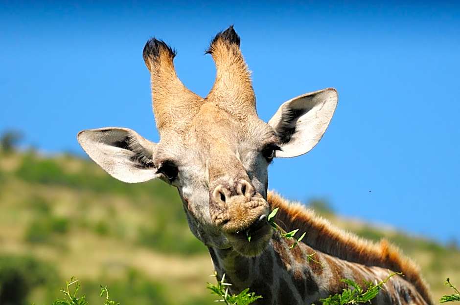 Morokolo Safari Lodge Self-catering