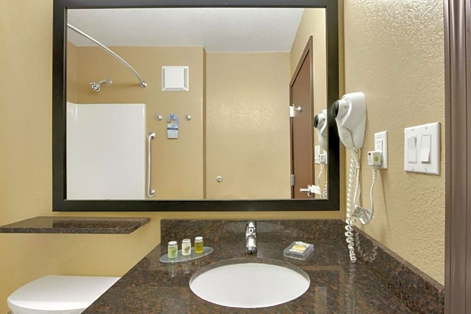 Microtel Inn & Suites by Wyndham Buda Austin South