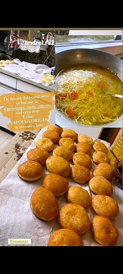 Pensiunea Rustic Oncesti