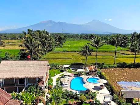 Tetebatu Flush Harmony