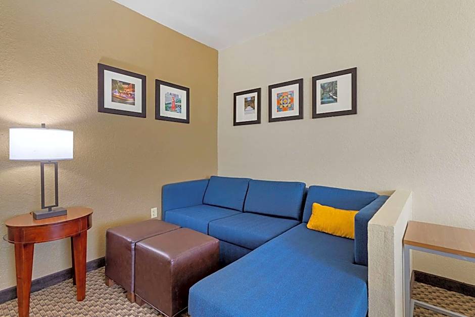 Comfort Inn & Suites Near Six Flags & Medical Center