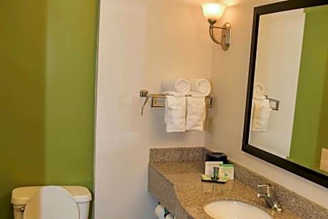 2 Double Beds, Nonsmoking, Accessible