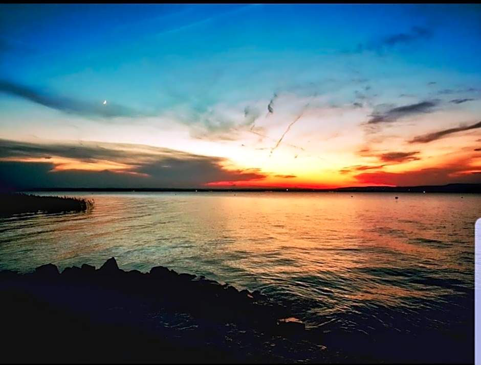 Stég Stúdió Stb. .