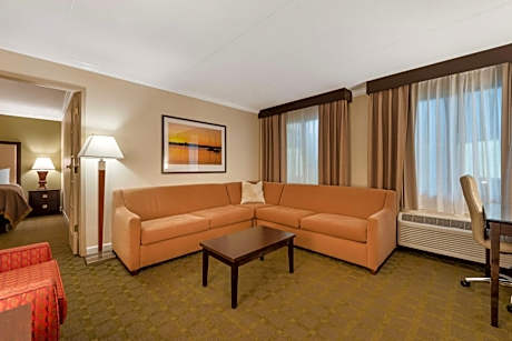 King Suite with Sofa Bed