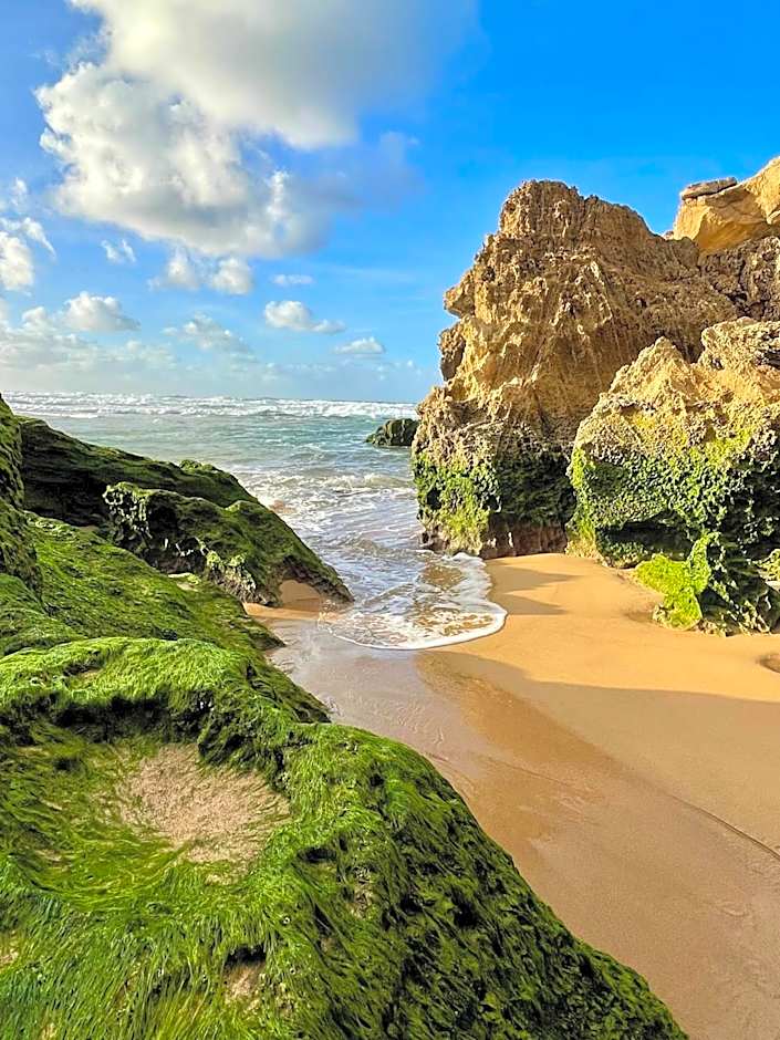 California Dream Inn