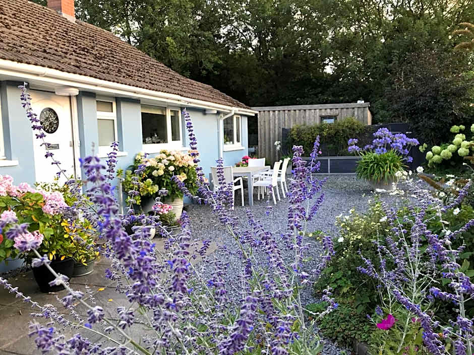 Gower View Luxury Bed & Breakfast