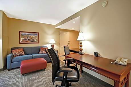 1 King Bed Studio Suite Nonsmoking