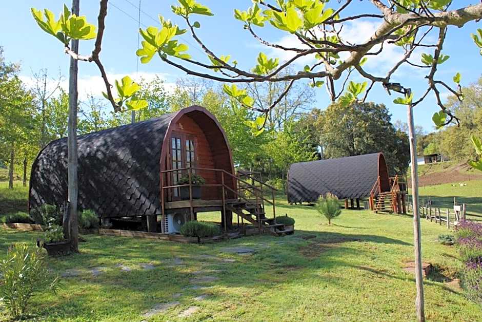 Quinta da Devesa -B2