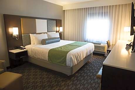 Large Executive King Room - Non-Smoking