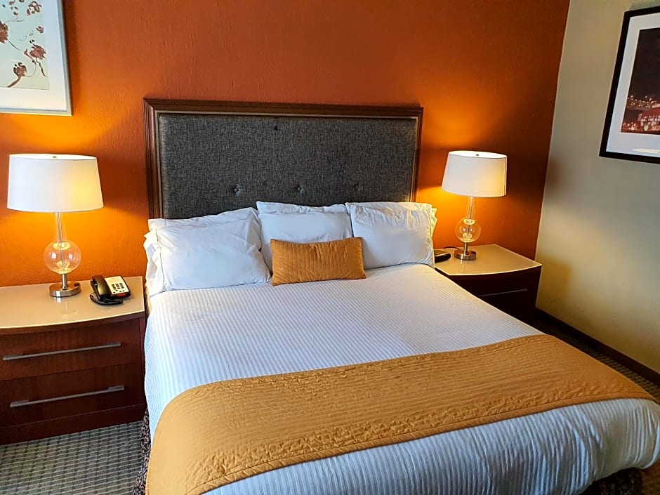 Hotel San Francisco Leon