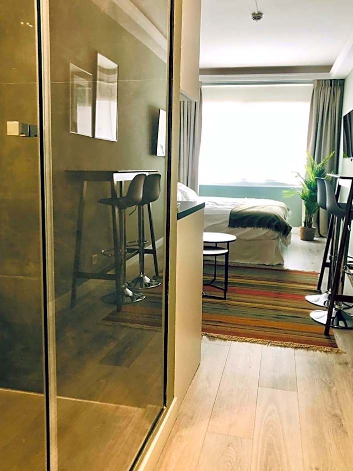 Recoletos Estudio en la mejor zona de Madrid