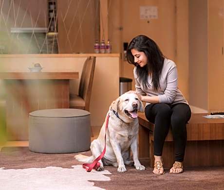 Two-Bedroom Executive Apartment