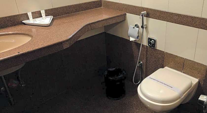 Hotel Ambience Excellency