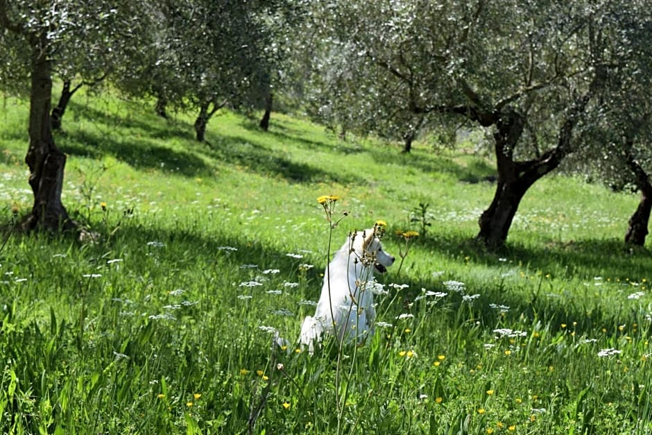 Agriturismo Terra Selvatica