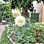 UNAHOTELS Eco Hotel Villa Costanza Venezia