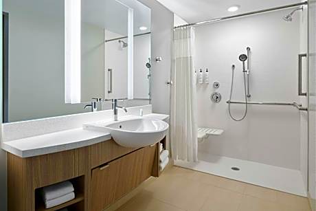 Suite, 1 King, Sofa bed