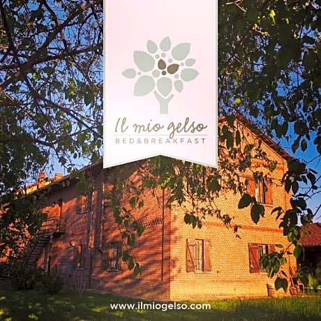 Bed & Breakfast Il mio Gelso