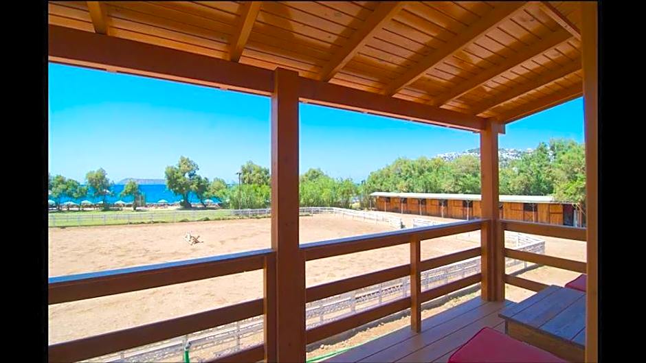 Equestrian and Beach Club