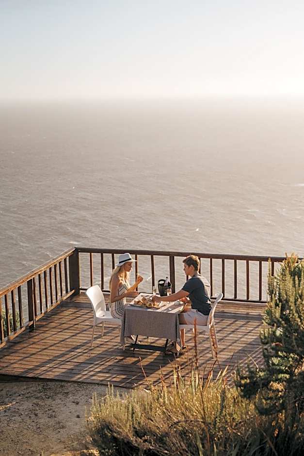 The Hive - Jungle at Misty Mountain Reserve