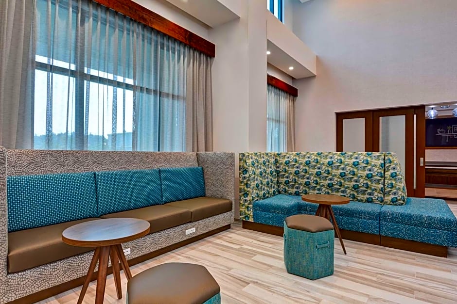 Hampton Inn By Hilton & Suites Tampa Riverview Brandon