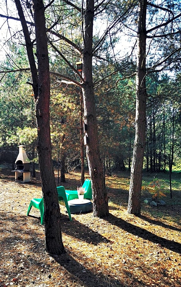 Domki Między Drzewami