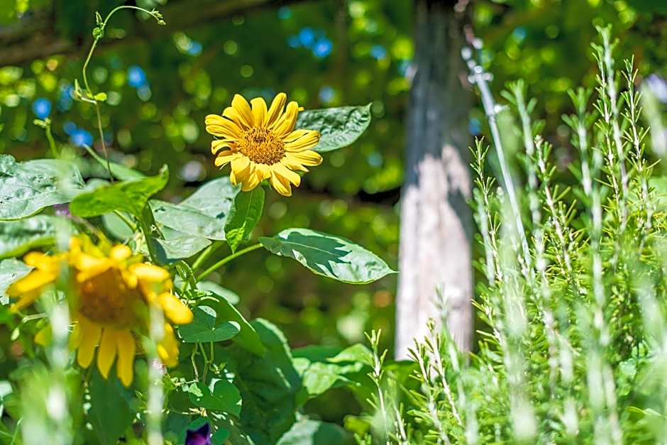 Sandhof Ferienwohnungen