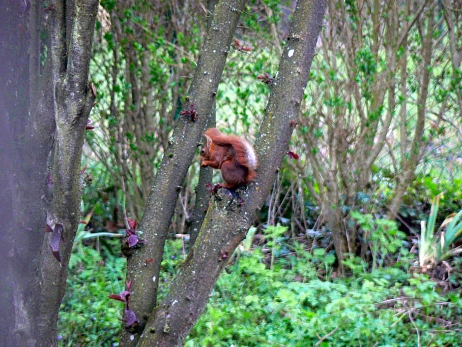 Chambre d'hôtes du Moulin de Landonvillers