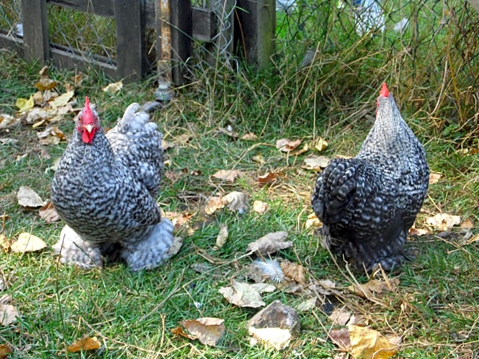 AU PARFUM DES LAVANDES