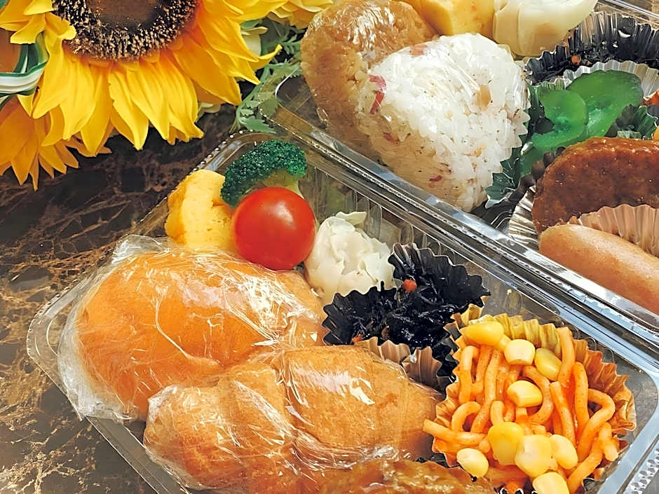 Toyoko Inn Tokyo Machida eki Odakyu sen Higashi guchi
