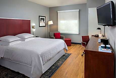 Room, 1 King Bed