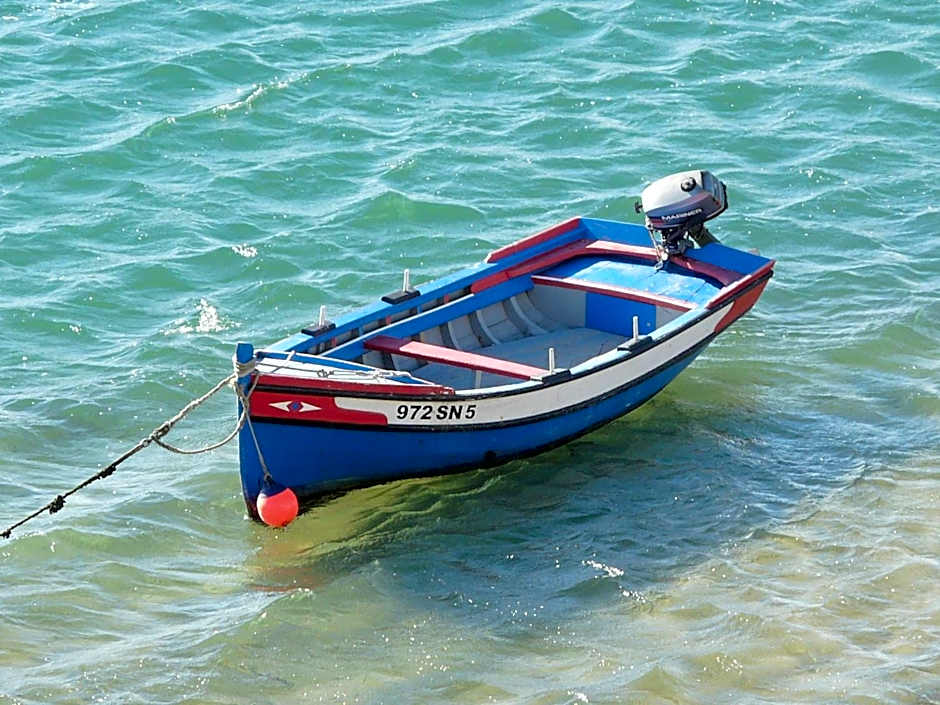 Born To Stay In Milfontes