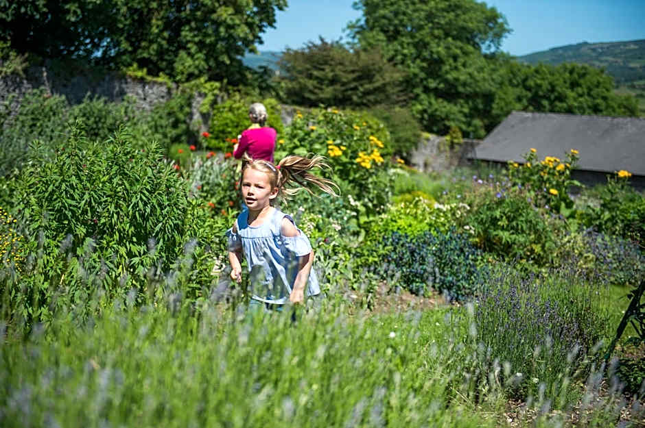 Treacys Oakwood Hotel, Shannon