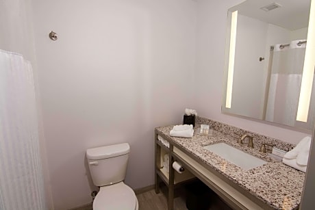 1 King Junior Suite Hearing Accessible Room