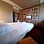 Ibis Toulouse Purpan
