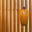 Calmare suites