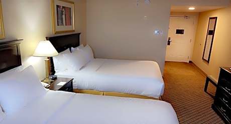 2 Queen Standard Bath Shower Combination