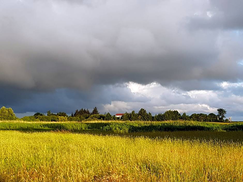 Haus Achtern Diek in erster Reihe am Meer