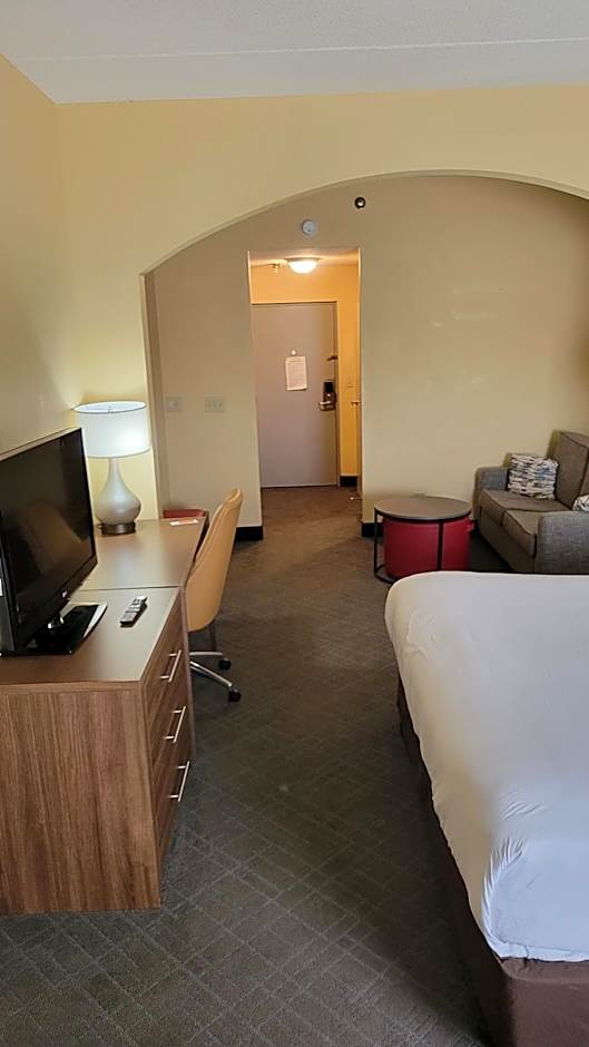 Comfort Inn & Suites At Stone Mountain