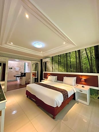 Deluxe Double or Twin Room with Garden View
