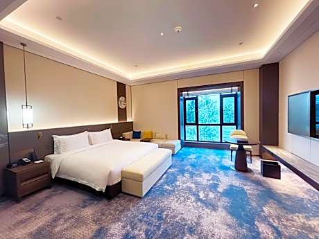 1 King Premium Accessible