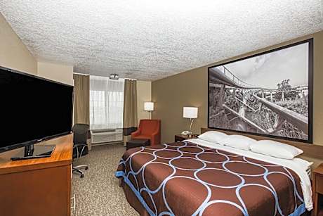 1 King Bed Non-Smoking