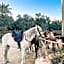 Aghurmi Siwa Ecolodge & Salt Cave