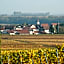 Gästehaus & Weingut PETH