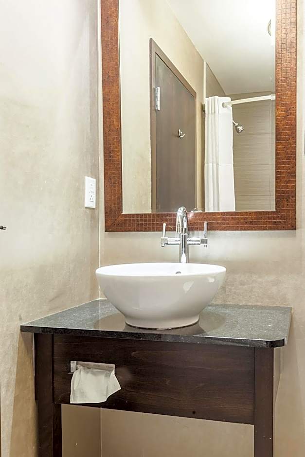 Hotel Ambassadeur et Suites