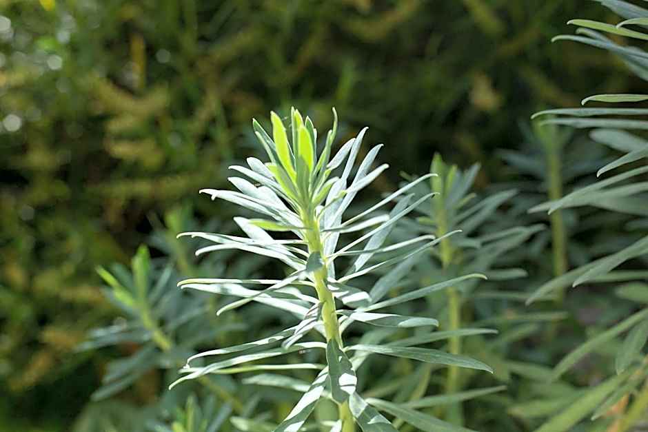 MAISON KERVARREC - Rennes - Saint-Grégoire